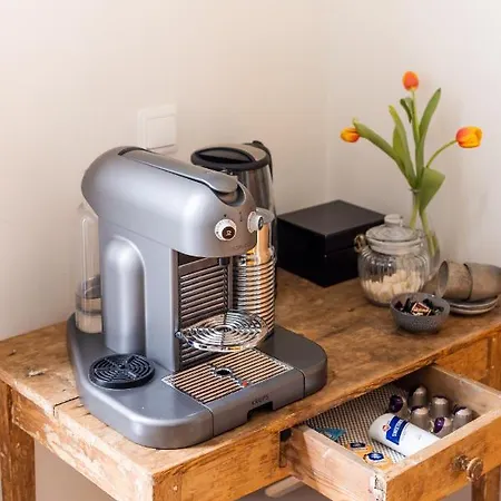 Cosy Nock ! Little Gem At Center With Large Terrace !