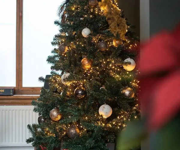 Apartment Cosy Nock ! Little Gem At Center With Large Terrace !