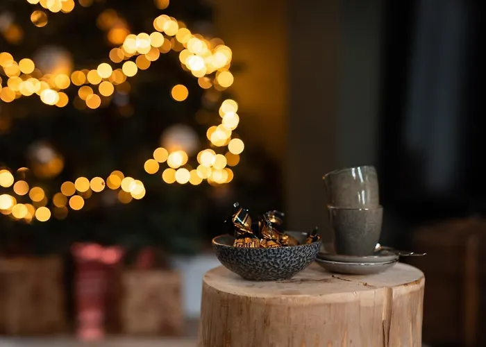 Apartment Cosy Nock ! Little Gem At Center With Large Terrace !