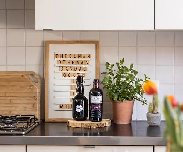 Cosy Nock ! Little Gem At Center With Large Terrace ! Breda