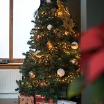 Апартаменты Cosy Nock ! Little Gem At Center With Large Terrace !