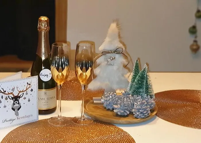 Appartement Cosy Nock ! Little Gem At Center With Large Terrace ! Bréda