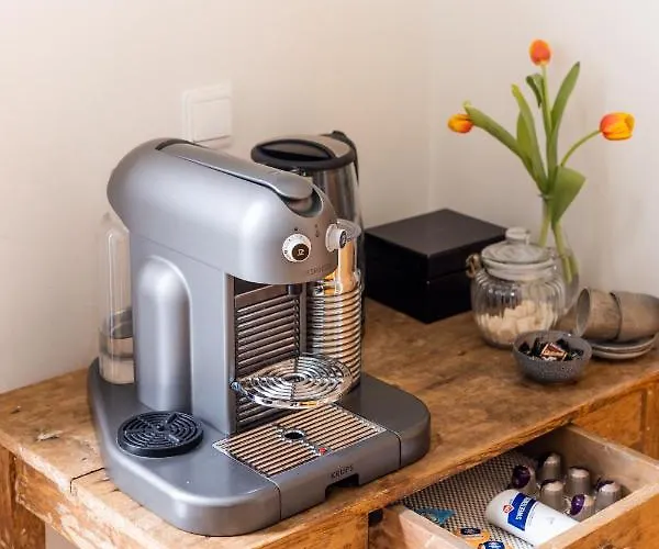 Cosy Nock ! Little Gem At Center With Large Terrace !